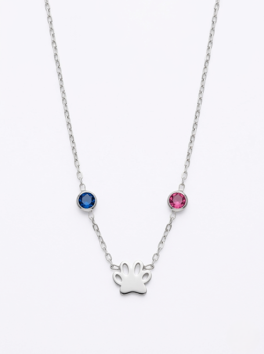 Paw Print Necklace with Birthstone